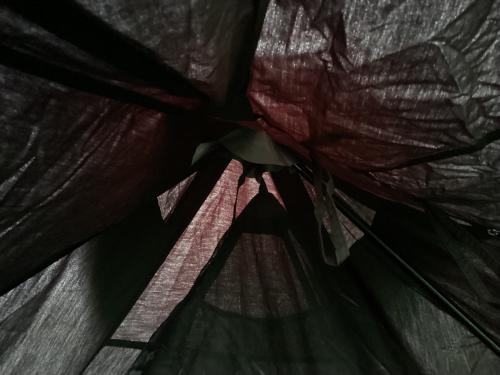 WAQ (ワック) モノポールテント ブラック ALPHA TC SOLO DX