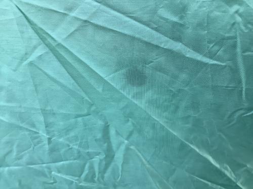 Coleman (コールマン) ツールームテント 一部店舗限定色(モスグリーン) 2207853 タフスクリーン2ルームエアー/MDX+ 560×340×215cm 3～4人用