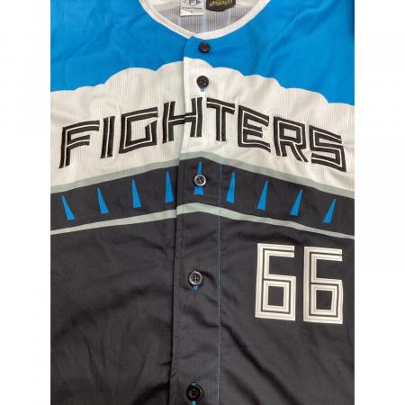 北海道日本ハムファイターズ (ホッカイドウニッポンハムファイターズ