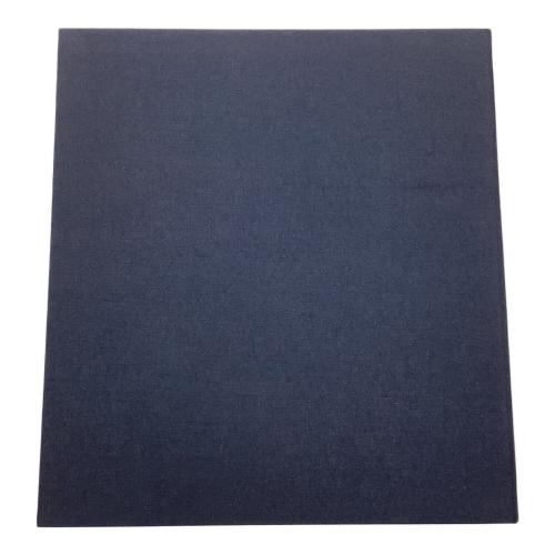 広島東洋カープ 応援グッズ ネイビー BBMホログラム有・24/100 サイン色紙 山口翔初勝利記念サイン色紙 BBMオーセンティック