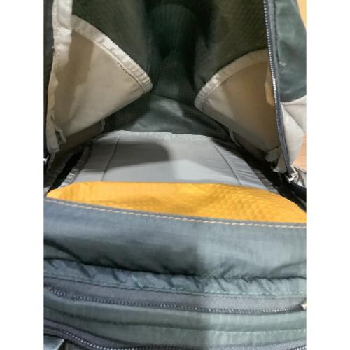 OSPREY (オスプレー) バックパック グレー POCO premium