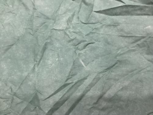 paine (パイネ) 登山用テント ヨゴレ・キズ・シーム劣化・ベタツキ有 E-06050 ゴアライト 1～2人用 程度B 程度B スカートなし