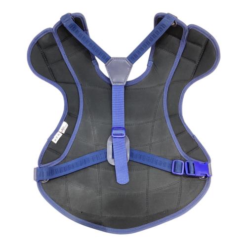 HATAKEYAMA (ハタケヤマ) キャッチャー防具セット ブルー 軟式用 別売バッグ付