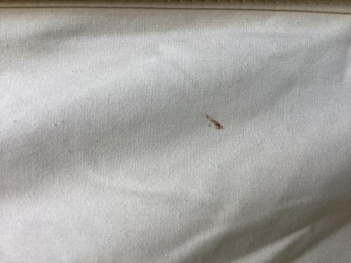 OGAWA (オガワ) ロッジテント 3375 ロッジシェルターT/C