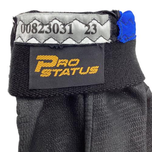 横浜DeNAベイスターズ (ヨコハマディーエヌエーベイスターズ) 応援グッズ ブラック 【1】金城 龍彦 バッティンググローブ 刺繍入りグローブ プロ仕様モデル