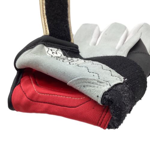 阪神タイガース 応援グッズ レッド 【19】藤浪晋太郎 バッティンググローブ 刺繍入りグローブ プロ仕様モデル