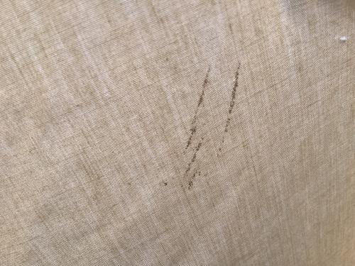 SABBATICAL (サバティカル) モノポールテント フライ煙突穴加工有 モーニンググローリーTC