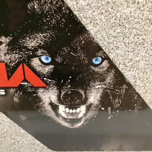 SIBERIAN (シベリアン) アルファプロシリーズ クーラーボックス 45QT グレー