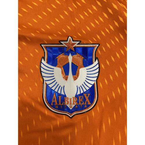 アルビレックス新潟 (アルビレックスニイガタ) サッカーユニフォーム