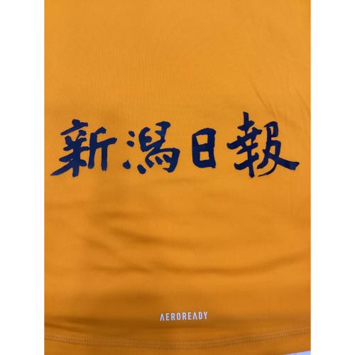 大幅値下げ！】アルビレックス新潟 2025 ユニフォーム 2nd adidas