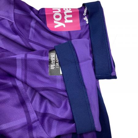 サンフレッチェ広島 サッカーユニフォーム HJ1336-545 NIKE 2025