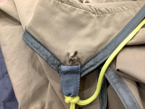 Coleman (コールマン) ワンタッチタープ 2000036818 TCバイザーシェード/M