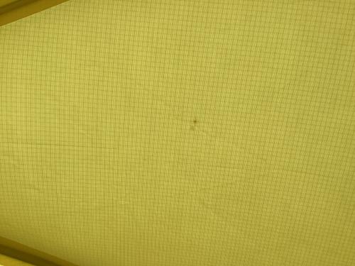 paine (パイネ) 登山用テント 屋外仕様形跡の少ないお品物/シングルウォール・ケースペン書き有 GORE LIGHT