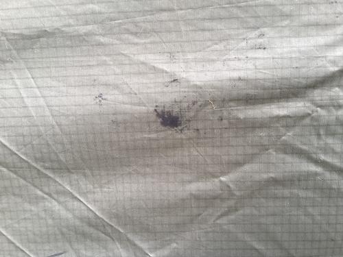 DAYTONA (デイトナ) テント 37041 マエヒロドーム