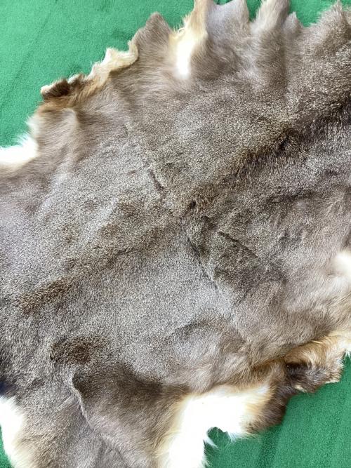 北海道阿寒吉田屋物産 ラグマット 最大寸法目安160×100㎝ 北海道産エゾ