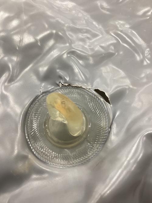 MARECHAL (マルシャル) ロッジテント コンパクトラックス6/ヴィンテージコットンテント/ショックコード切れ・経年劣化・摩耗有 COMPACTE LUXE 6