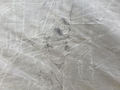 ZANE ARTS (ゼインアーツ) シェルター PS-011 キズ・ヨゴレ有 ギギ1