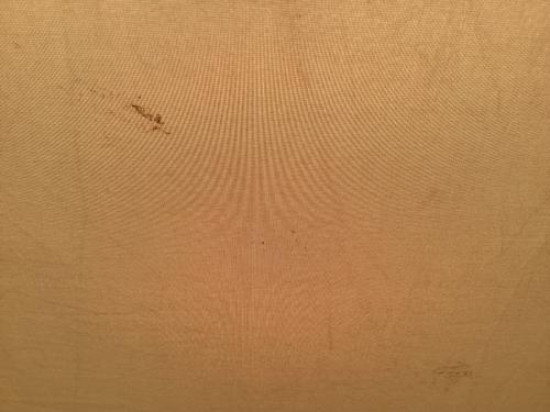 OGAWA (オガワ) ツールームテント 2737 ファシル