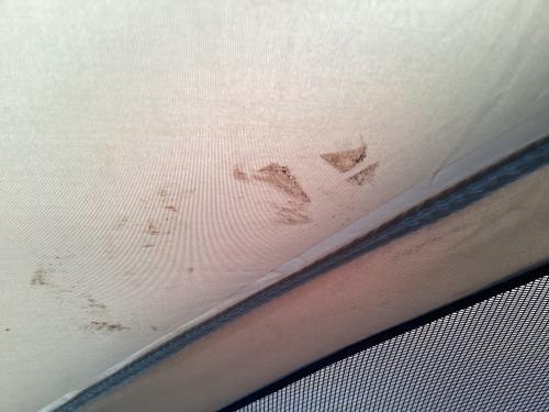 OGAWA (オガワ) ツールームテント 2737 ファシル