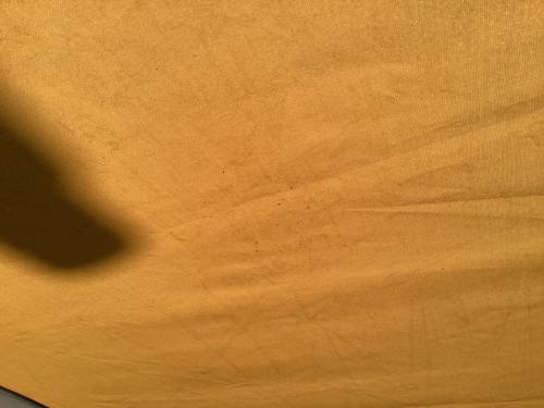 SABBATICAL (サバティカル) ツールームテント ポールゴムヨゴレ・キズ・ヨゴレ有 アルニカ