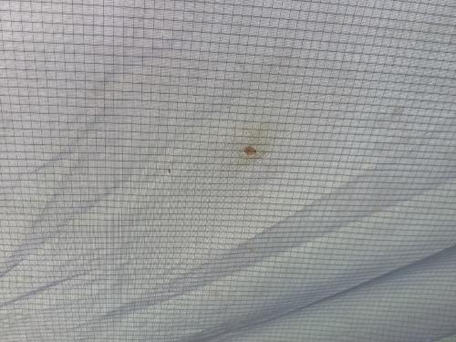 TOKYO CRAFTS (トウキョウクラフト) シェルター TC-184 ハビソル デュオテント