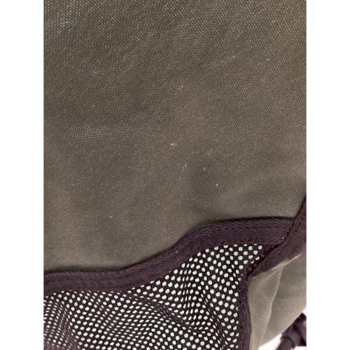 Helinox (ヘリノックス) アウトドアチェア グリーン キャンプチェア