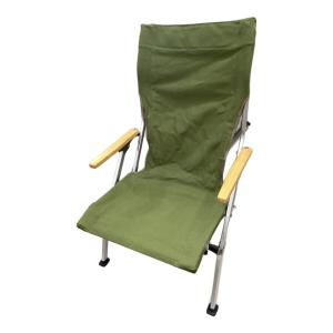 Snow peak (スノーピーク) アウトドアチェア 旧モデル・廃盤カラー グリーン ローチェア30