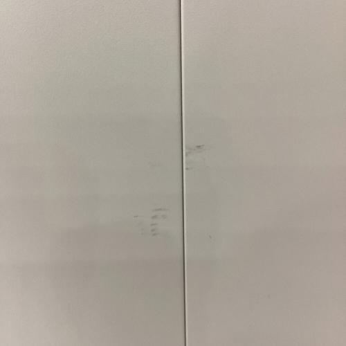 Coleman (コールマン) 54QT スチールベルトクーラー（セージ） クーラーボックス 2159598 54QT/51L セージグリーン