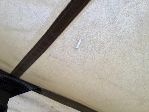 Snow peak (スノーピーク) ツールームテント TP-259 2025年製/全体的な土ヨゴレ有 ランドネストシェルター