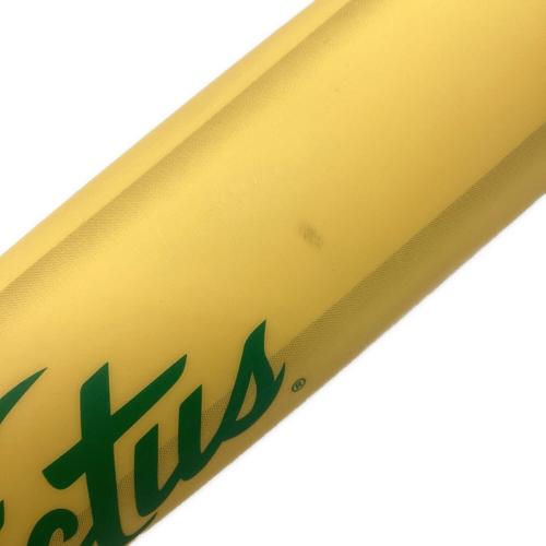 Victus (ビクタス) TICONDEROGA 軟式バット VJJSBBYP ケース付/ペンシルバット 84cm イエロー
