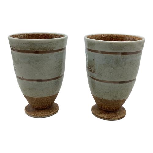 Snow peak (スノーピーク) 泡立ちビアタンブラー アウトドア食器 陶器タンブラー2個セット/ノ廃盤ベルティー