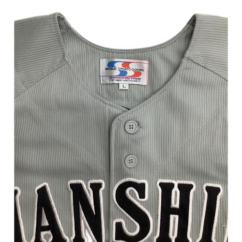 阪神タイガース (ハンシンタイガース) 応援グッズ 2009年ビジター Lサイズ ライトグレー