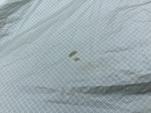 paine (パイネ) 登山用テント G-03038 G-LIGHT TENT