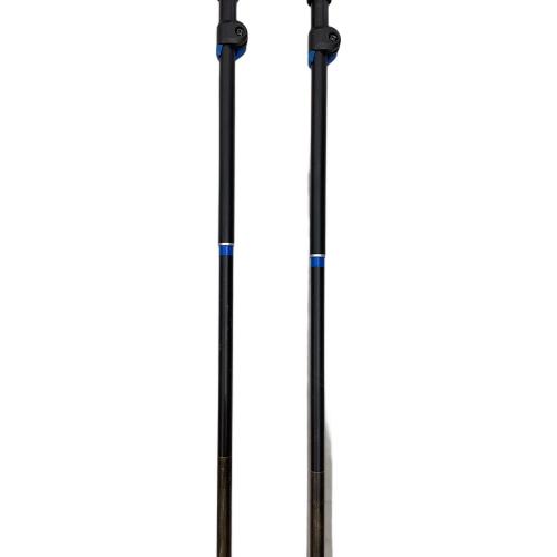 BLACK DIAMOND (ブラックダイヤモンド) トレッキングポール 105^125㎝ ブラック×シルバー ディスタンスFLZ
