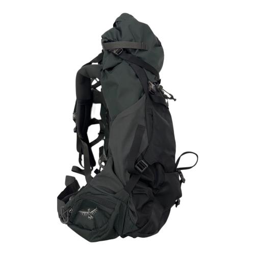 OSPREY (オスプレー) バックパック 65L ダークグリーン AETHER(イーサー)65 背面長 約46～50cm 50L～(テント泊)