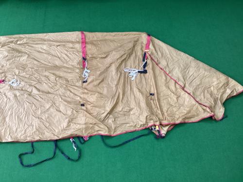 Snow peak (スノーピーク) ツールームテント 2018年製 SET-250 エントリーパックTT 約530×300×280cm 2～4人用