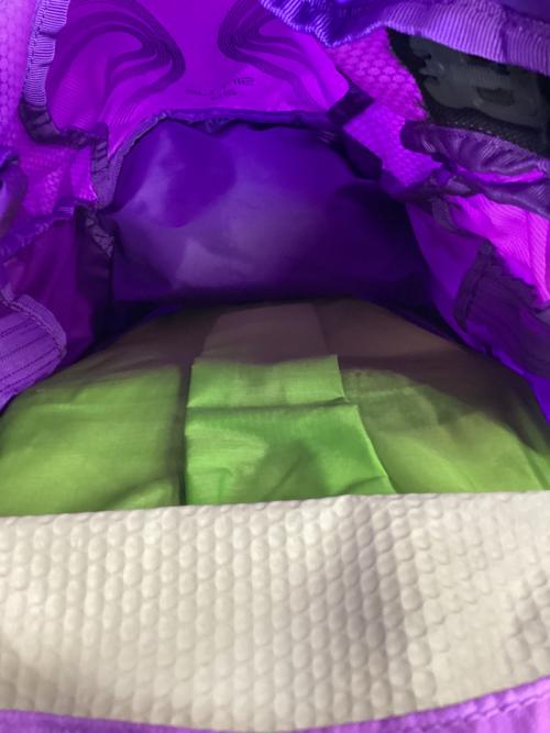 OSPREY (オスプレー) バックパック パープル SIRRUS 24 背面長 約41～45cm 21-30L(日帰り)