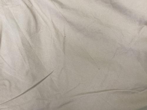 WAQ (ワック) ソロテント WAQ-TCTDX1 アルファTC/DX 約300×300×180(h)cm 1～2人用 TC素材 ベージュ