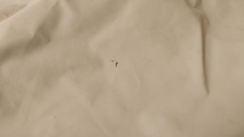 Nordisk (ノルディスク) モノポールテント ジップインフロア有 ウトガルド13.2 約430×255×240(h)cm