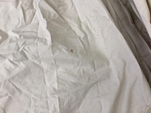 DOD (ディーオーディー) モノポールテント タン T3-736-TN レンコンテント2M 約390×390×260(h)cm 2～3人用