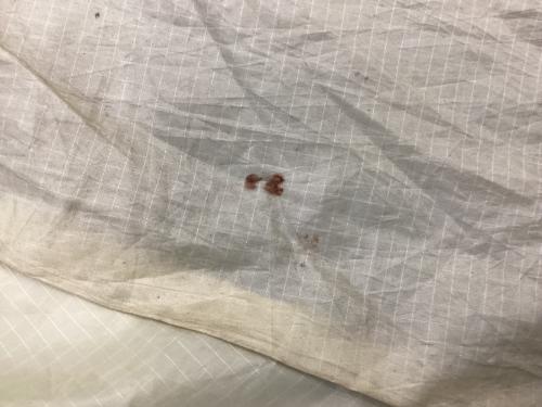 Snow peak (スノーピーク)  TP-770R トルテュPro 2014年製 約580×360×205(h)cm 2～4人用