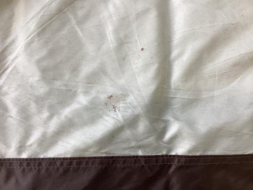 Snow peak (スノーピーク) ドームテント 2015年製 SDE-003 アメニティドームL 約540×310×165cm 3～5人用