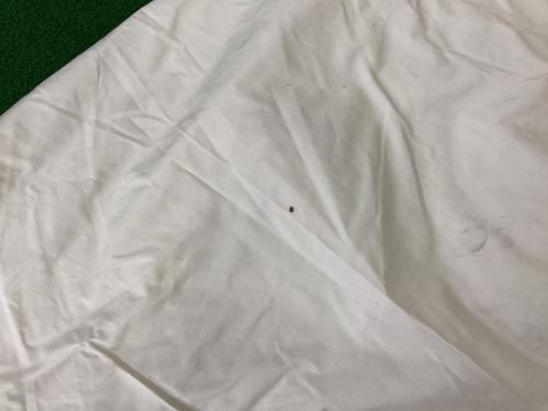 Nordisk (ノルディスク) モノポールテント アルフェイム12.6 約400×400×275(h)cm 5～6人用 TC素材