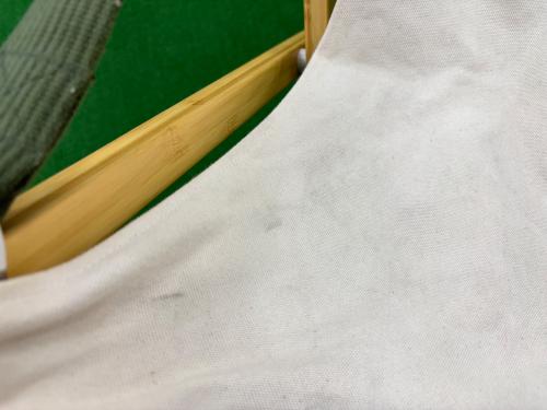 Snow peak (スノーピーク) アウトドアチェア アイボリー LV-086 Take！チェアロング