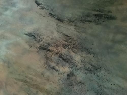 THE NORTH FACE (ザ ノース フェイス) ドームテント エクストリームコールドウェザーテント ECWT