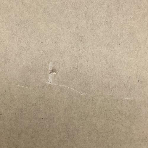 MINIMAL WORKS (ミニマルワークス) システムラック カモフラージュ MGFU-IH001-FR2CA インディアンハンガーM