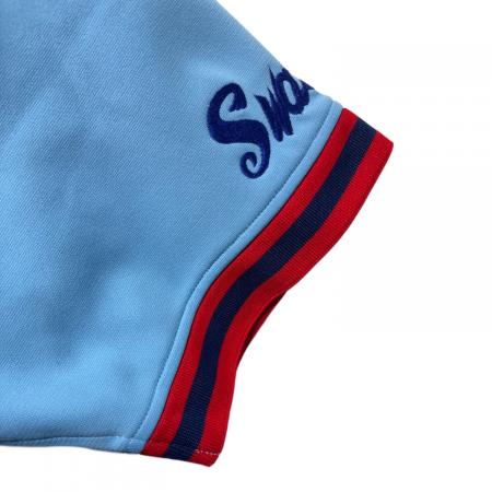 東京ヤクルトスワローズ (トウキョウヤクルトスワローズ) 応援