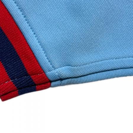 東京ヤクルトスワローズ (トウキョウヤクルトスワローズ) 応援