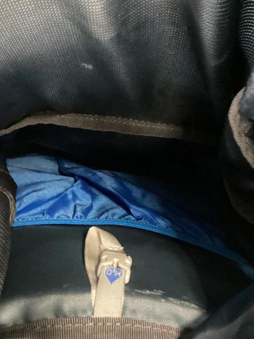 GREGORY (グレゴリー) バックパック 65L ブルー STOUT 65 背面長 51cm以上 50L～(テント泊)