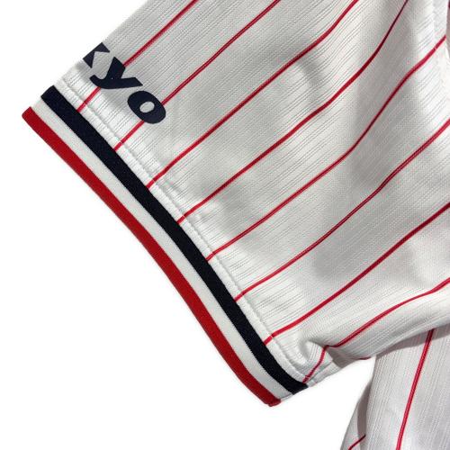 東京ヤクルトスワローズ (トウキョウヤクルトスワローズ) 応援